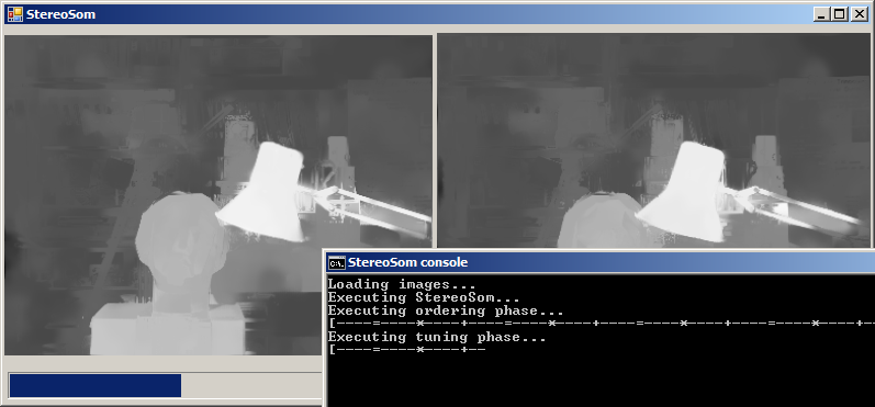 StereoSOM program screenshot